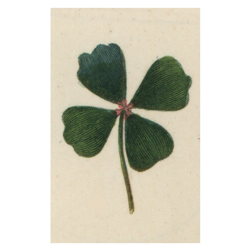 John Derian Company Inc St. Patrick's Day Clover 3 John Derian Company Inc St. Patrick's Day Clover