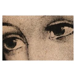 John Derian Company Inc Ellen's Eyes