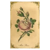 John Derian Company Inc Moss Rose