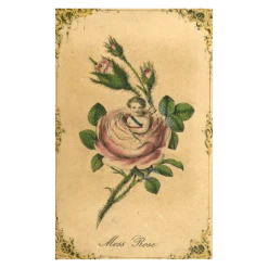 John Derian Company Inc Moss Rose