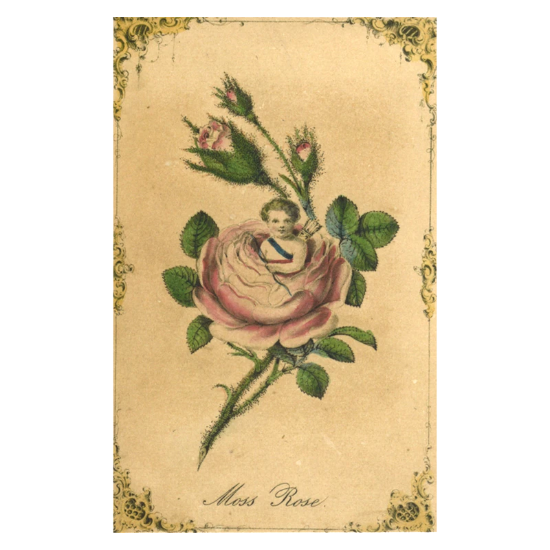 John Derian Company Inc Moss Rose 3 John Derian Company Inc Moss Rose