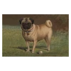 John Derian Company Inc Pug & Ball