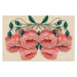 John Derian Company Inc Picture Book Images Rose Cluster