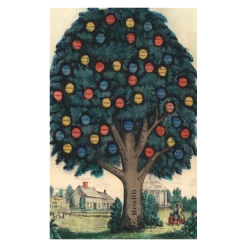 John Derian Company Inc Tree Of Temperance