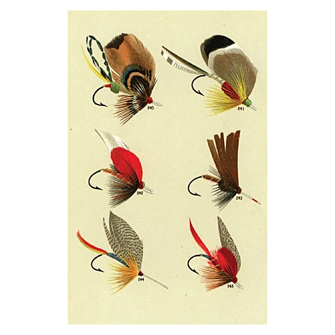 John Derian Company Inc Bass Flies #240 Small Goods 3 John Derian Company Inc Bass Flies #240 Small Goods