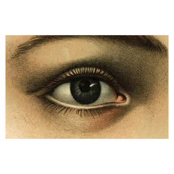 John Derian Company Inc Picture Book Images Eye