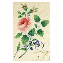 John Derian Company Inc Rose Spray Picture Book Images