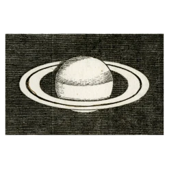 John Derian Company Inc Small Goods Saturn