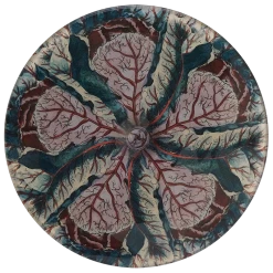 John Derian Decoupage Cabbage Leaf