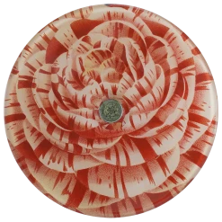 John Derian Camellia Japonica Tricolor Imbricata Plena Decoupage