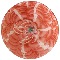 John Derian Decoupage Camellia Arnoldo Da Brescia