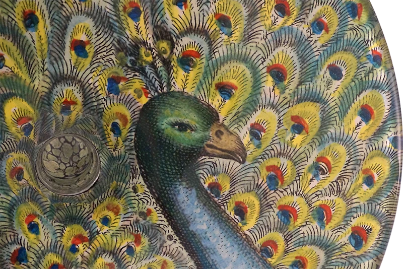 John Derian Peacock 6 John Derian Peacock