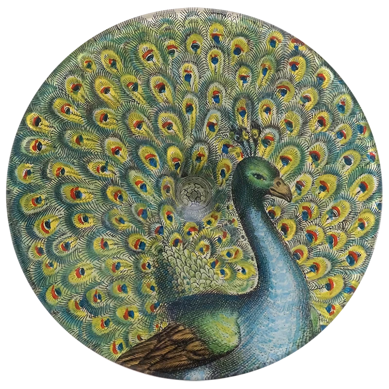 John Derian Peacock 4 John Derian Peacock