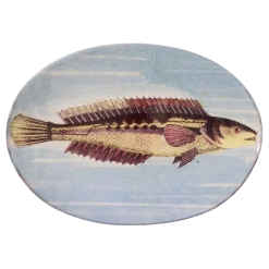 John Derian X ADV Painted Fish H Oval Plate Dining & Tabletop
