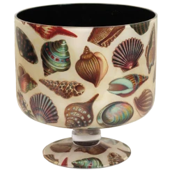 John Derian Seashells