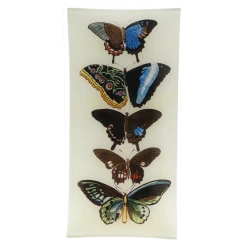 John Derian Five Winged