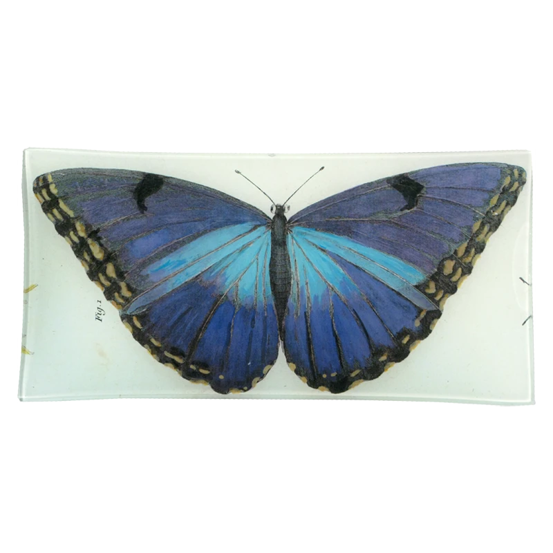 John Derian Decoupage Blue Butterfly 3 John Derian Decoupage Blue Butterfly