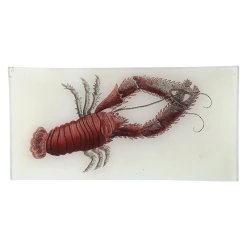 John Derian Plated Lobster Decoupage