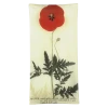 John Derian Decoupage Red Poppy