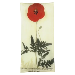 John Derian Decoupage Red Poppy