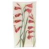 John Derian Gladiolus 546 Decoupage