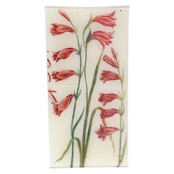 John Derian Gladiolus 546 Decoupage