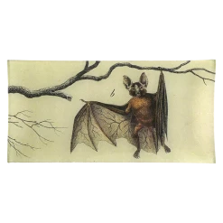John Derian Hanging Bat B