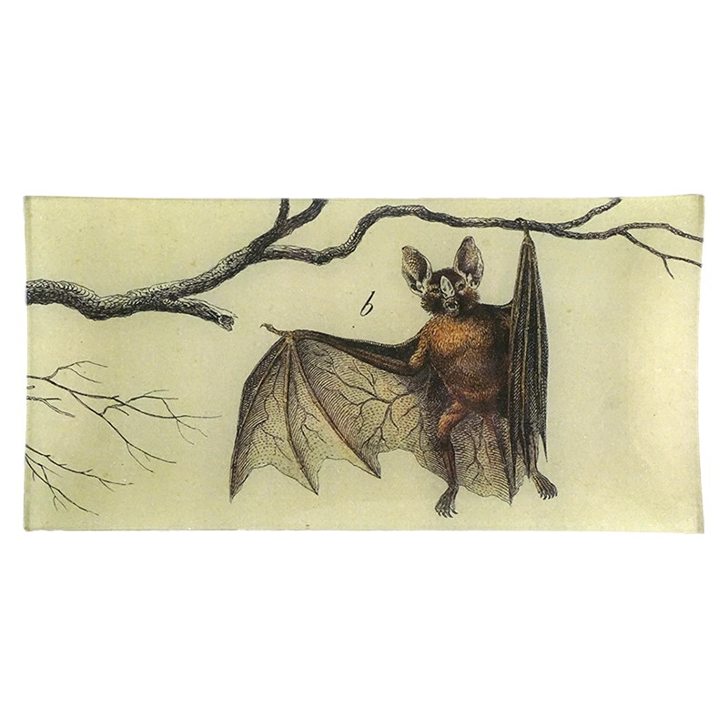 John Derian Hanging Bat B 3 John Derian Hanging Bat B