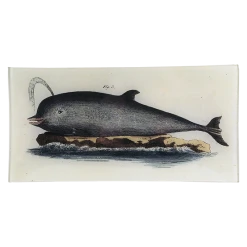 John Derian Le Dauphine Edente