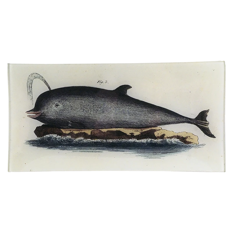 John Derian Le Dauphine Edente 3 John Derian Le Dauphine Edente