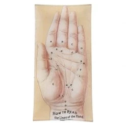 John Derian Lines Of The Hand