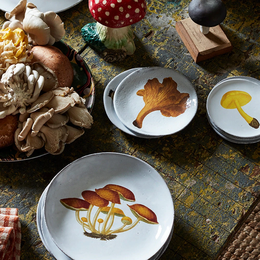 John Derian X ADV Agaric Amer Soup Bowl Dining & Tabletop 4 John Derian X ADV Agaric Amer Soup Bowl Dining & Tabletop