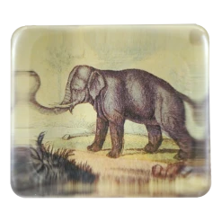 John Derian Elephant