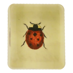 John Derian Lucky Ladybug