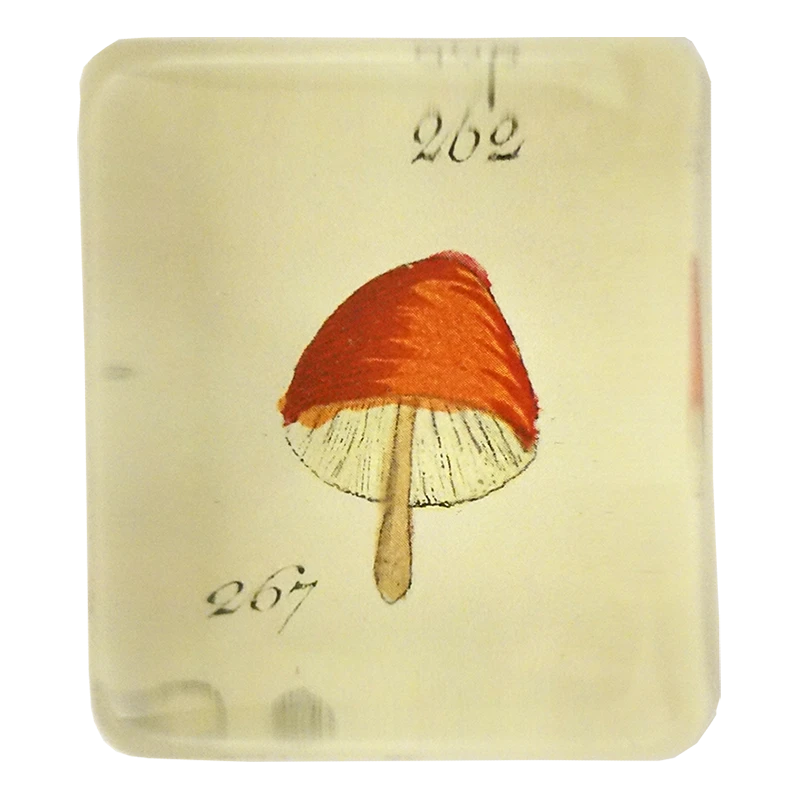 John Derian Decoupage Orange Mushroom 3 John Derian Decoupage Orange Mushroom