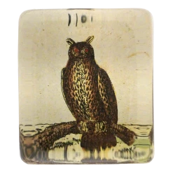 John Derian Decoupage Owl 175