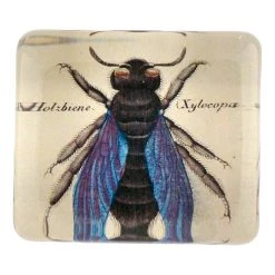 John Derian Decoupage Blue Fly