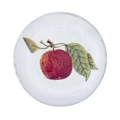 John Derian X ADV Dining & Tabletop Red Apple Plate