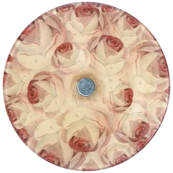 John Derian Roses Decoupage