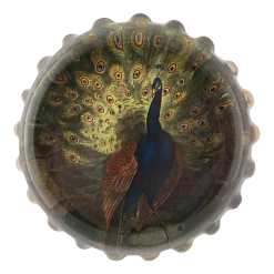 John Derian Decoupage Peacock