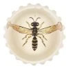 John Derian Philanthus (Beewolf) Decoupage