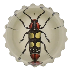 John Derian Red & Yellow Beetle (Lamia Formosa)