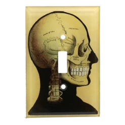 John Derian Decoupage Black Skull