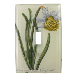 John Derian Daffodil