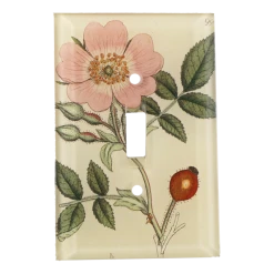 John Derian Pink Rose Close-Up Decoupage