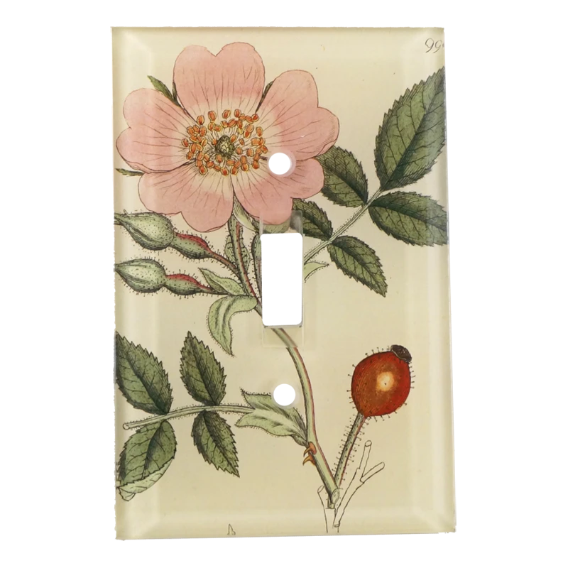 John Derian Pink Rose Close-Up Decoupage 3 John Derian Pink Rose Close-Up Decoupage