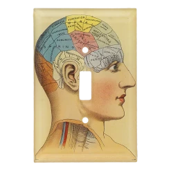 John Derian Aspiring Decoupage