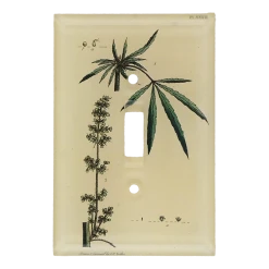 John Derian Hemp Decoupage