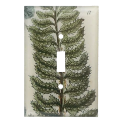 John Derian Lonchite N. 672 Decoupage 7 John Derian Lonchite N. 672 Decoupage