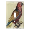John Derian Decoupage Parrot #2